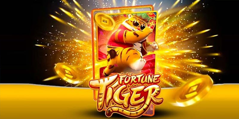 Quem é o Fortune Tiger bigwin